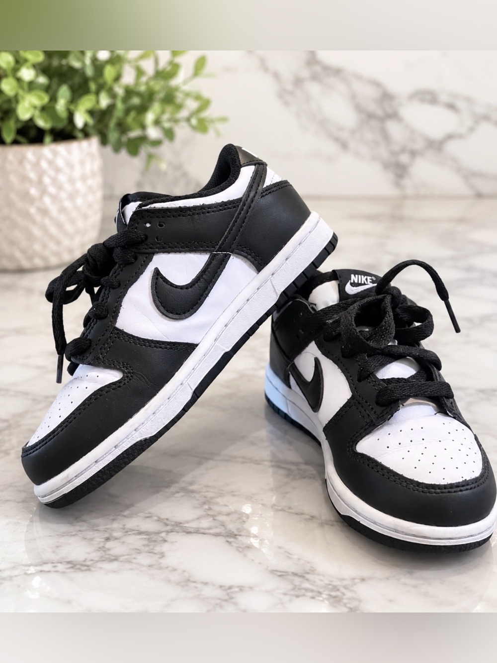 Nike Dunk Low KIDS